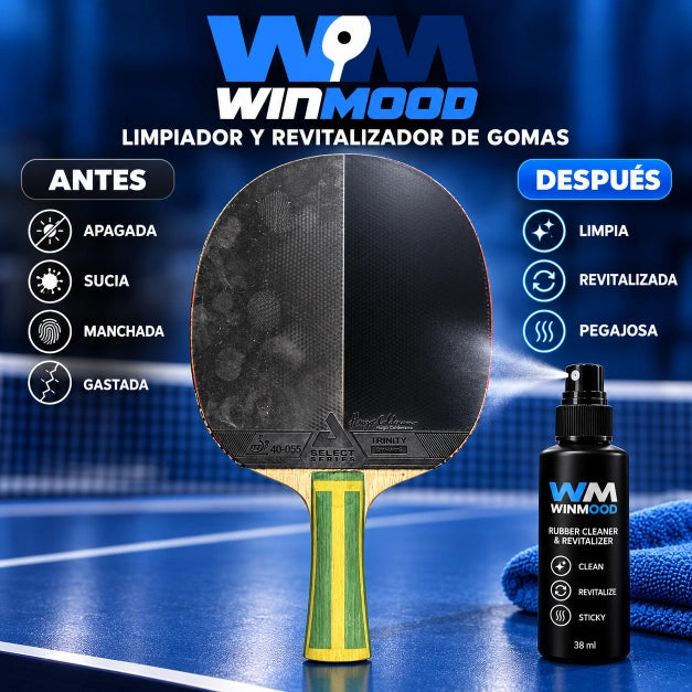Limpiador Revitalizador de Gomas WinMood