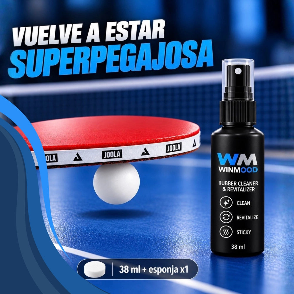 Limpiador Revitalizador de Gomas WinMood