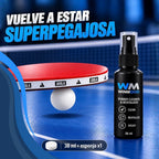 Limpiador Revitalizador de Gomas WinMood