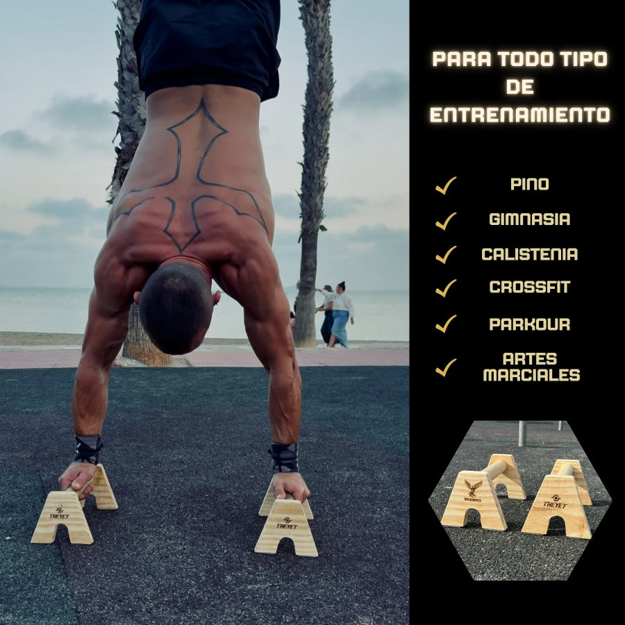 Paralelas Calistenia Phoenix